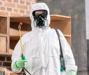 professionnel extermination des cafards a paris. Deratisation 94